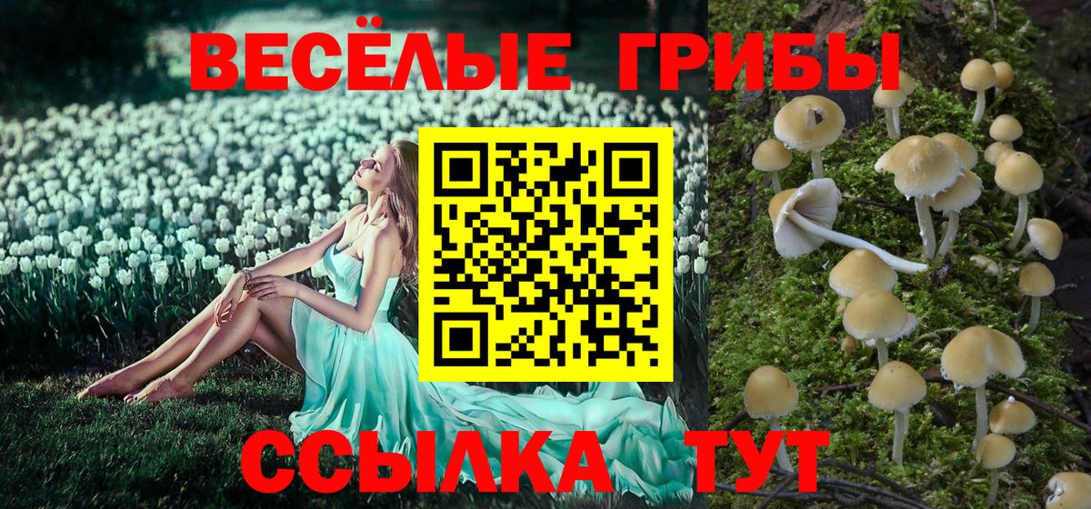 Кировск  Галлюциногенные грибы MAGIC MUSHROOMS  Галлюциногенные грибы Psilocybe  Вход с VPN 