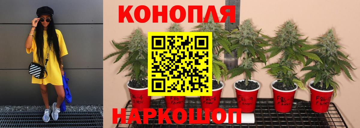 Каннабис семена Кировск